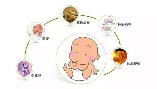 做试管婴儿的流程是怎样的？