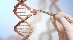 有遗传病不敢生孩子？三代试管婴儿拯救你