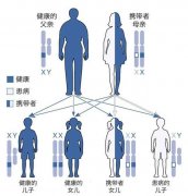 有遗传病不敢生孩子?第三代试管婴儿帮你圆梦！