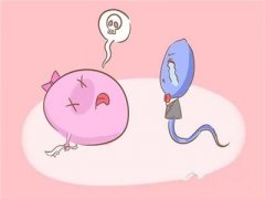试管婴儿黄体素要用到什么时候?