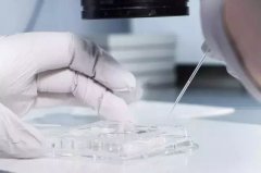 做试管第三代一般几次成功？你想要的答案都在这里！