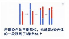 染色体易位做试管成功率？选二代还是三代？