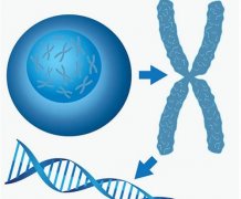 生二胎做美国试管婴儿，男性生殖检查有必要吗?