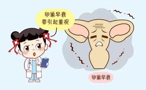 成功案例分享：32岁卵巢早衰患者的试管求子路！