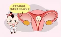 做试管婴儿助孕对女性的子宫环境有什么要求？