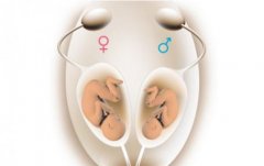 为何试管婴儿男孩比例高于女孩？看完秒懂！
