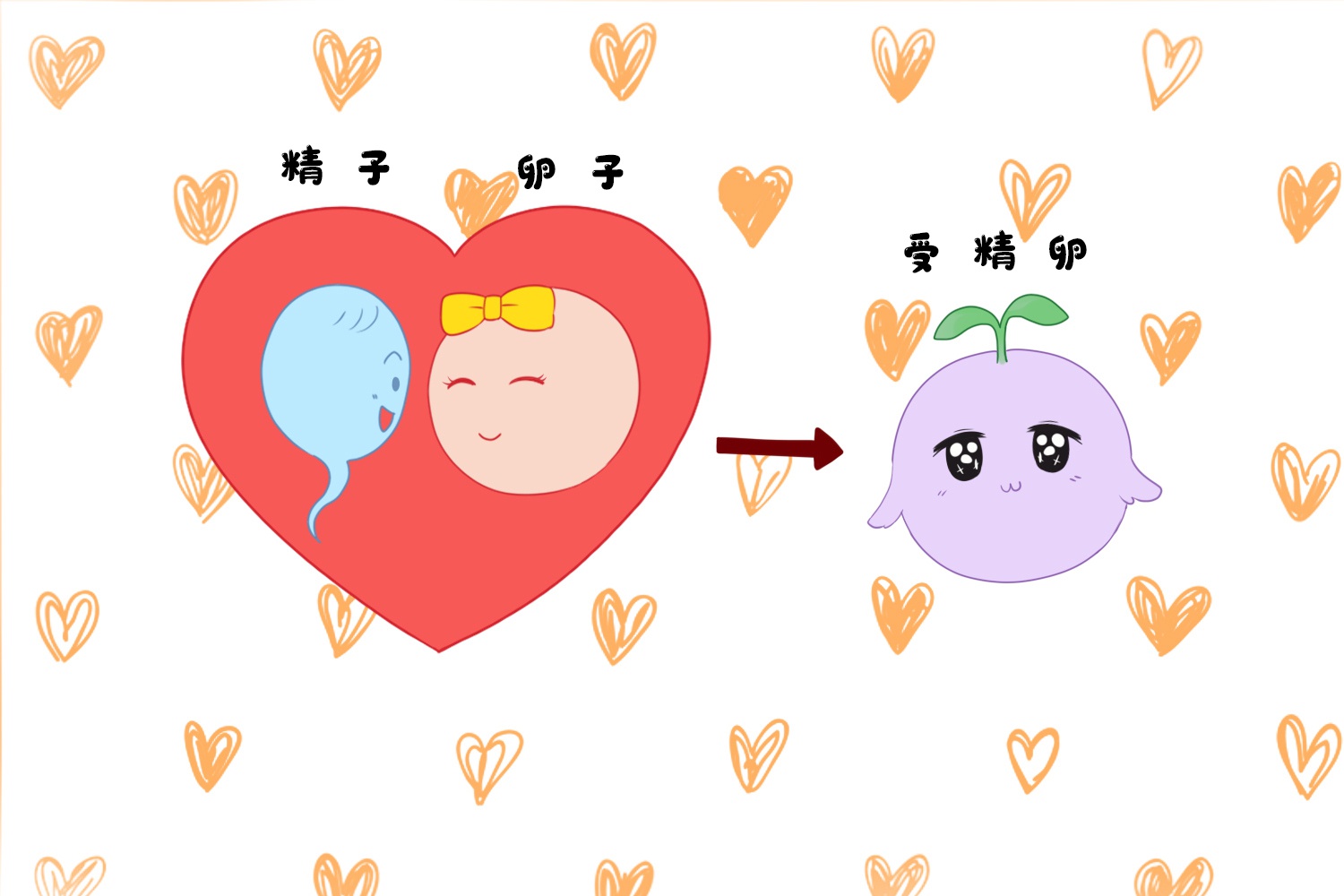 大龄妇女卵子质量差，适合做供卵美国试管婴儿吗？