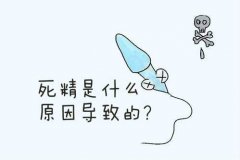 死精子&无精子症状能做试管婴儿吗?