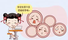 卵泡发育不良做试管婴儿成功率是多少？