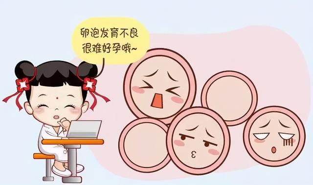 卵泡发育不良做试管婴儿成功率是多少