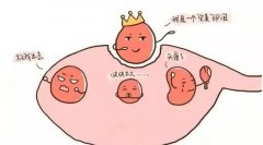 做试管婴儿促排时卵泡发育不成熟怎么办？