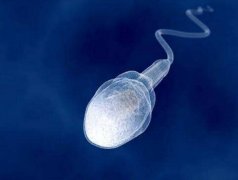 精子碎片率高能做三代试管吗？