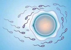 免疫性不孕能做三代试管吗