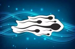 精子碎片率高可以做试管吗？可以的话成功率高吗？