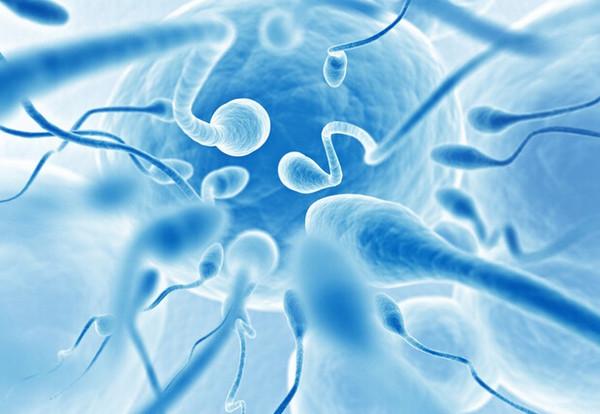  诺优笙国际：精子存活率低能不能做美国试管？