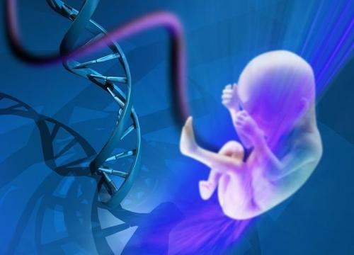  诺优笙国际：美国做供卵试管的机构可以相信吗？成功率怎样？