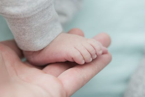 试管婴儿备孕，高成功率要靠这几点